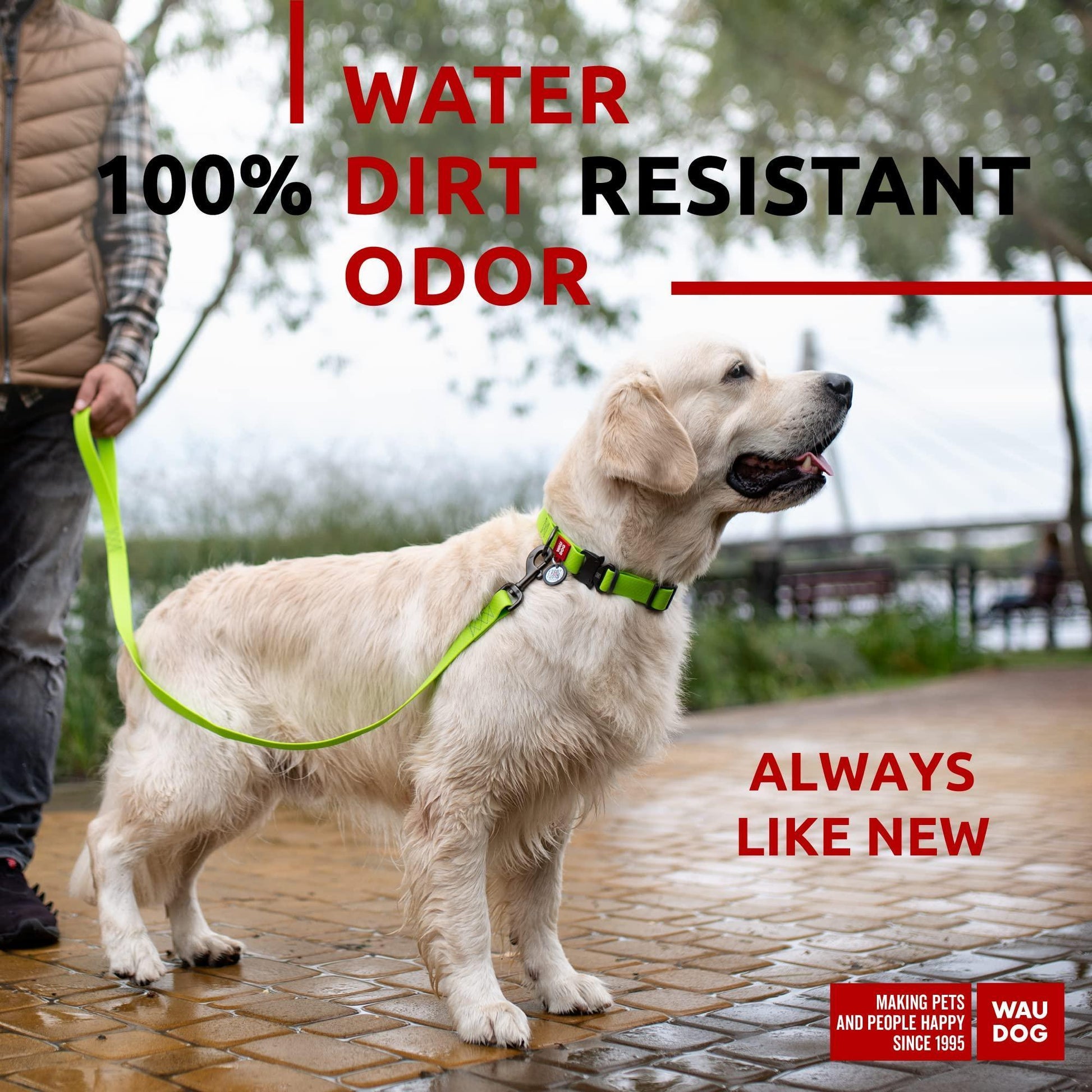 WAUDOG Waterproof Dog Leash 4 Ft   6 Ft   Anti Slip Dog Leash for Large Dogs For Pet With Love
