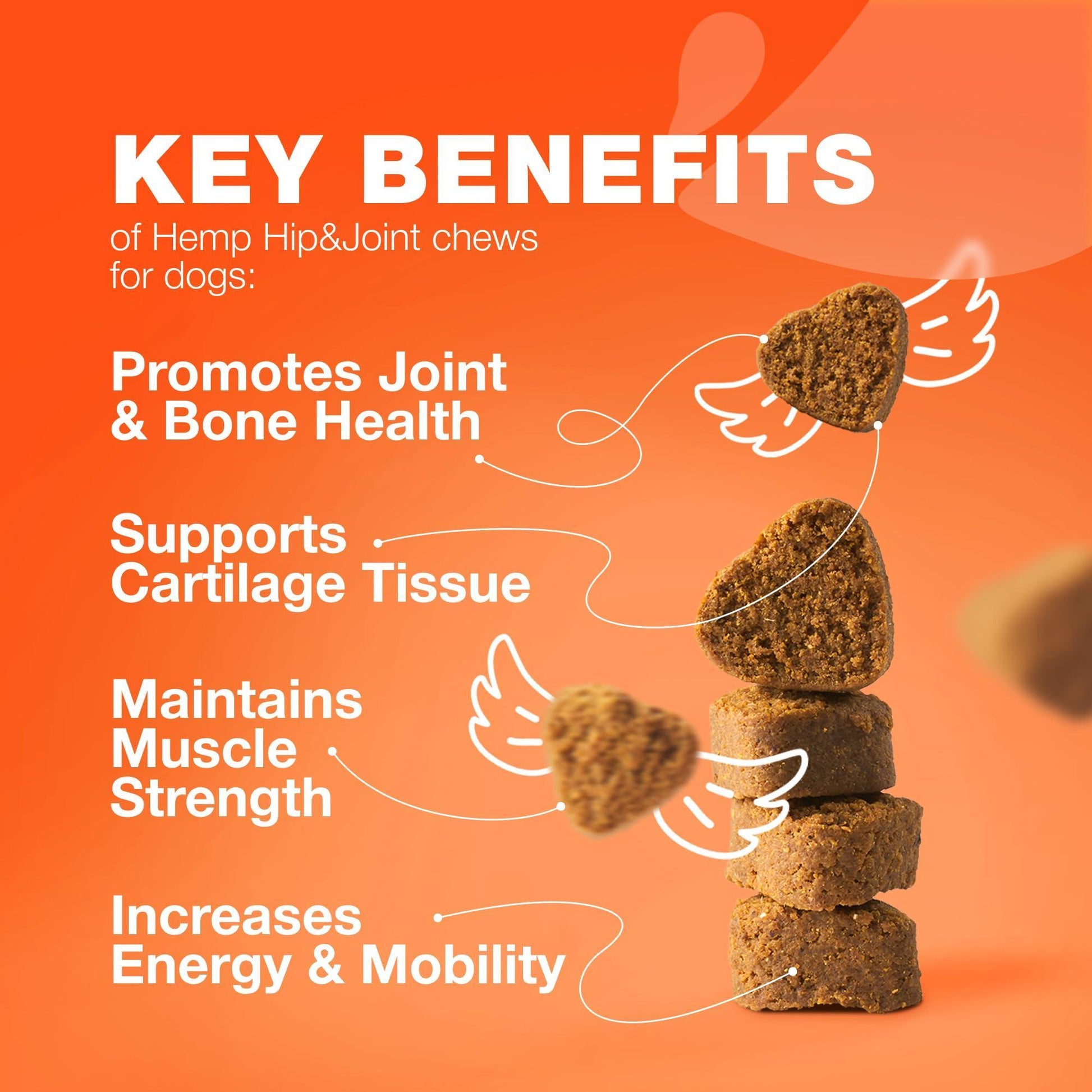 CHEWIA Hip & Joint Health Supplement for Dogs with Glucosamine Chondroitin MSM Turmeric 180 Ct For Pet With Love