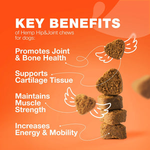CHEWIA Hip & Joint Health Supplement for Dogs with Glucosamine Chondroitin MSM Turmeric 180 Ct