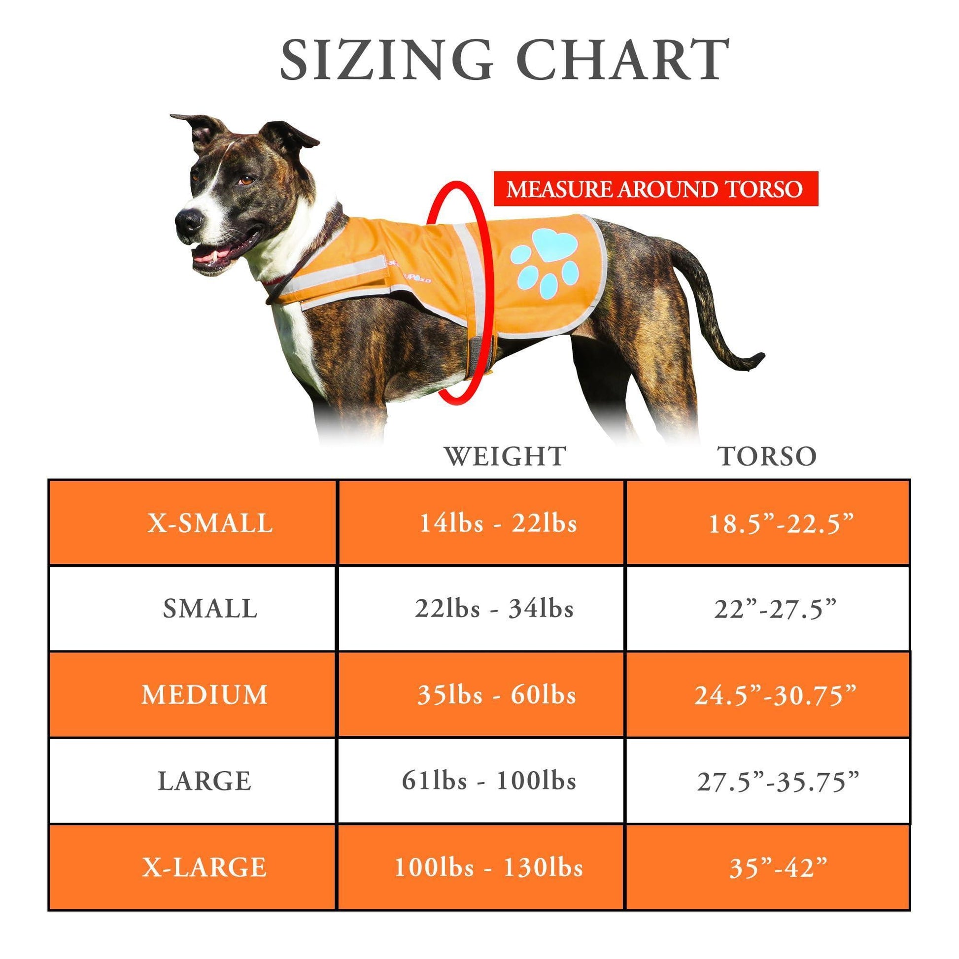 SafetyPUP XD HiVisibility Reflective Fluorescent Blaze Orange Dog Vest (XLARGE) For Pet With Love