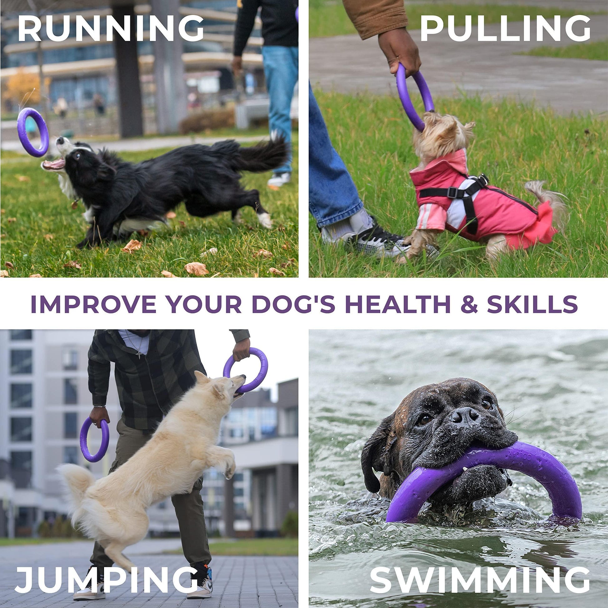 PULLER Mini Outdoor Dog Ring Toy - Fetch and Tug-of-War Dog Toy for Smaller Breeds For Pet With Love