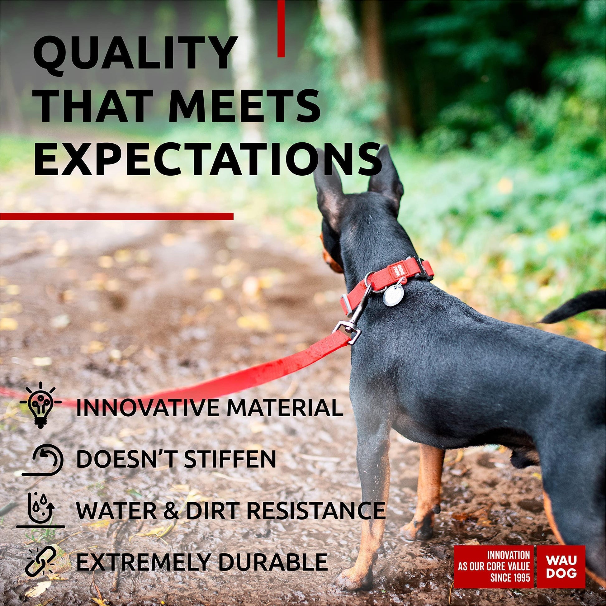 Waterproof Dog Leash 4 Ft   6 Ft   Anti Slip Dog Leash for Large Dogs Small and For Pet With Love