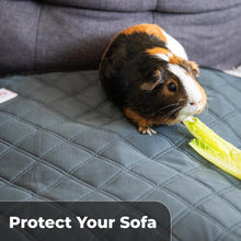 Load image into Gallery viewer, LUFTPETS Washable Small Animal Cage Liners for C&amp;C 2&#39;x4&#39; (57&quot; x28&quot; ) Habitats. 2-Pack. Easy to Clean, Absorbent, Waterproof &amp; Non Slip.
