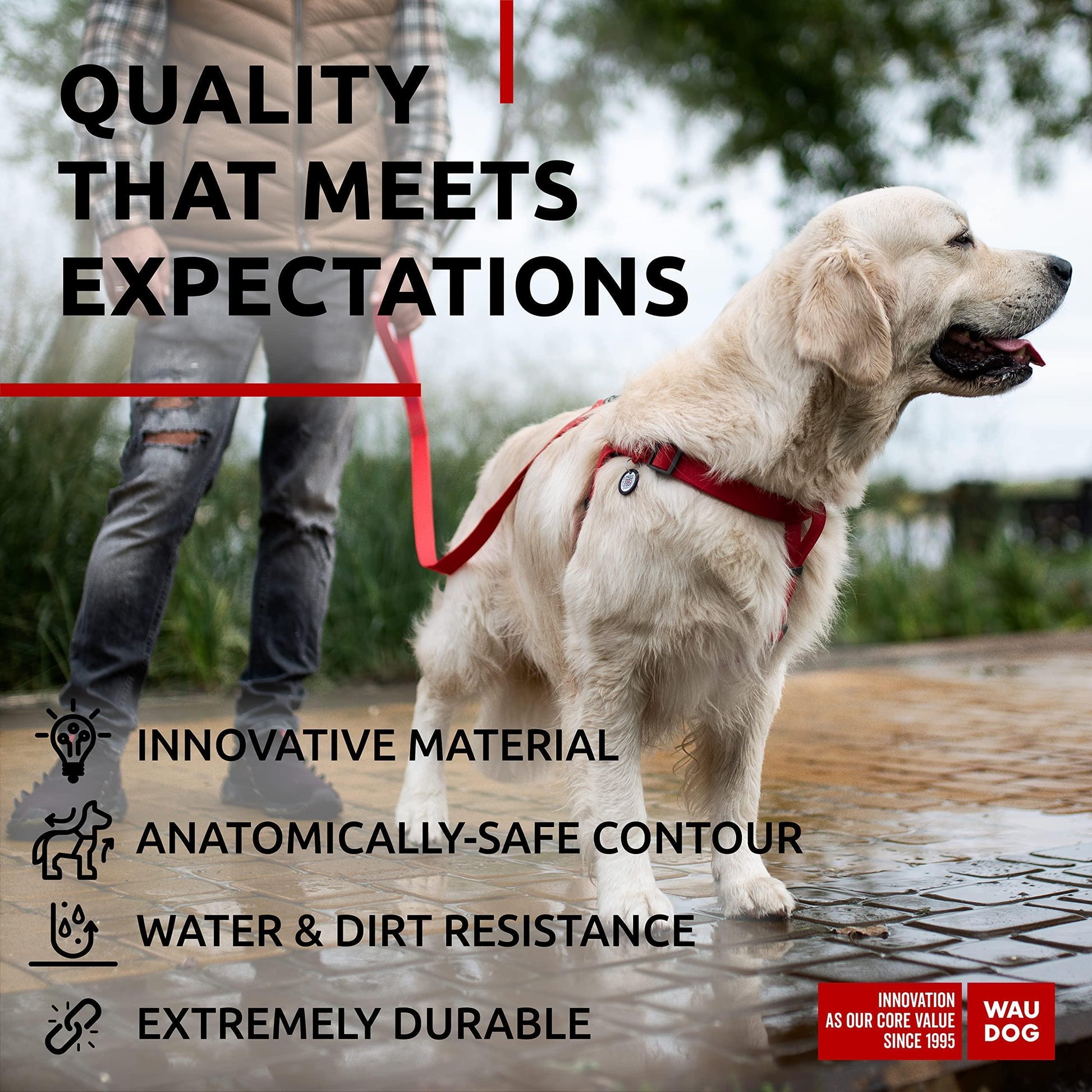 Waterproof Dog Harness   Adjustable Dog Harness for Large Dogs Small and Medium For Pet With Love