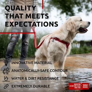 Waterproof Dog Harness   Adjustable Dog Harness for Large Dogs Small and Medium