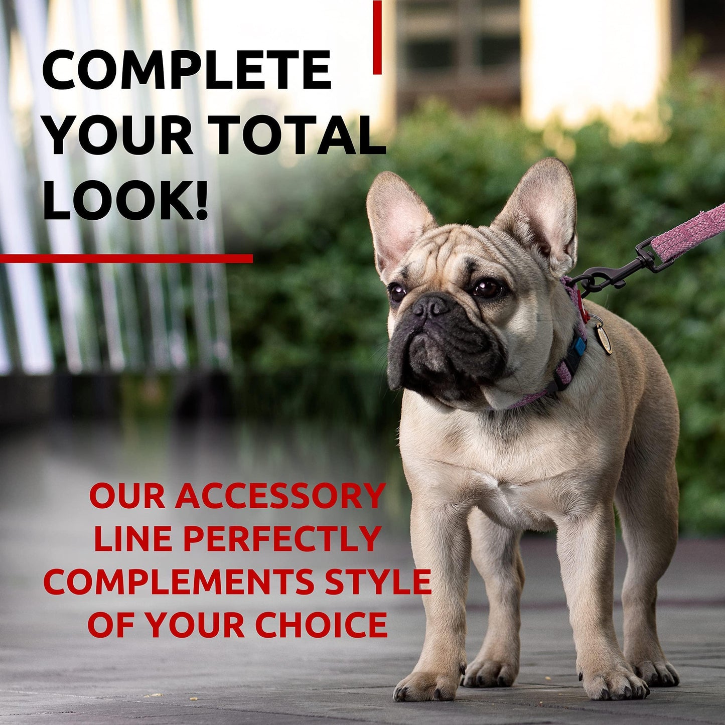 WAUDOG Recycled Cotton Dog Leash 6 Ft   10 Ft Eco Friendly Collar for Small For Pet With Love