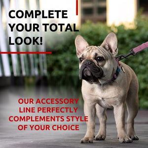Recycled Cotton Dog Leash 6 Ft   10 Ft Eco Friendly Collar for Small Medium &