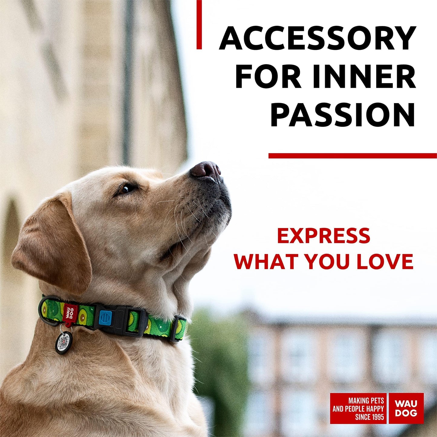 WAUDOG Nylon Adjustable Dog Collar with Durable Plastic Buckle and QR Dog Tag AVOCADO LARGE For Pet With Love