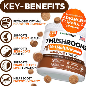 PETSOLOGY Mushroom Multivitamin Supplement for Dogs with Glucosamine, Omega 3 and Probiotics. 170 Chews