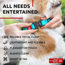 Load image into Gallery viewer, WAUDOG Adjustable Waterproof Glow in The Dark Dog Collar with Durable Metal Clasp and QR Dog Tag AQUA SMALL
