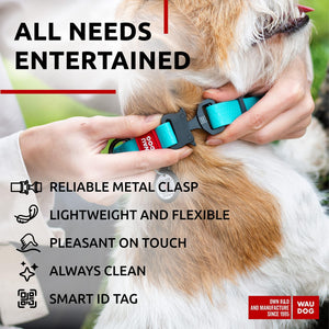 WAUDOG Adjustable Waterproof Glow in The Dark Dog Collar with Durable Metal Clasp and QR Dog Tag AQUA SMALL