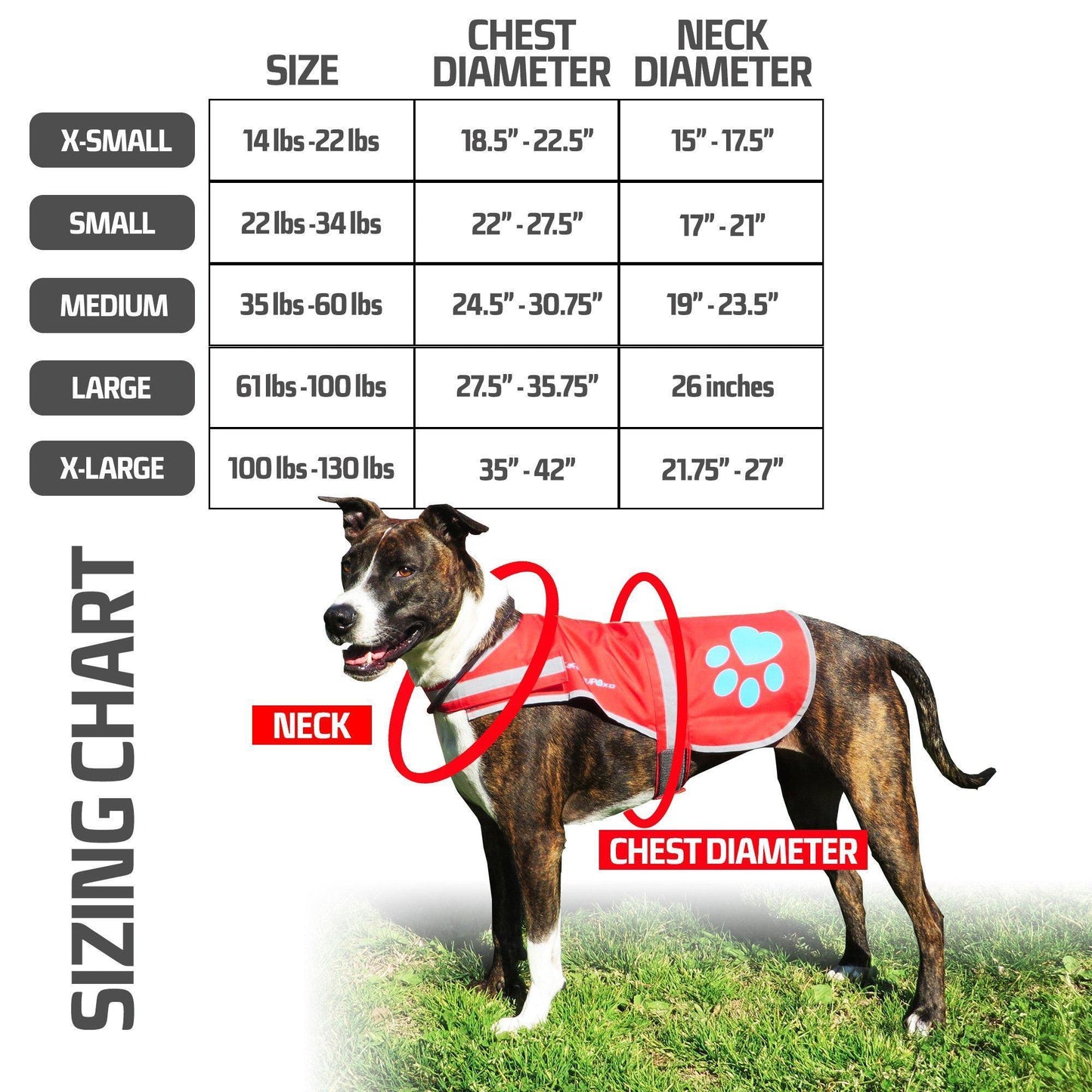 SafetyPUP XD Urban Dog Reflective Vest - MEDIUM - Blue - Fits Dogs 35lbs - 60lbs For Pet With Love