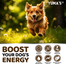 Load image into Gallery viewer, YUMA'S Turkey Tail Mushroom Dog Vitamins and Supplements for Dogs. 170 Chews For Pet With Love
