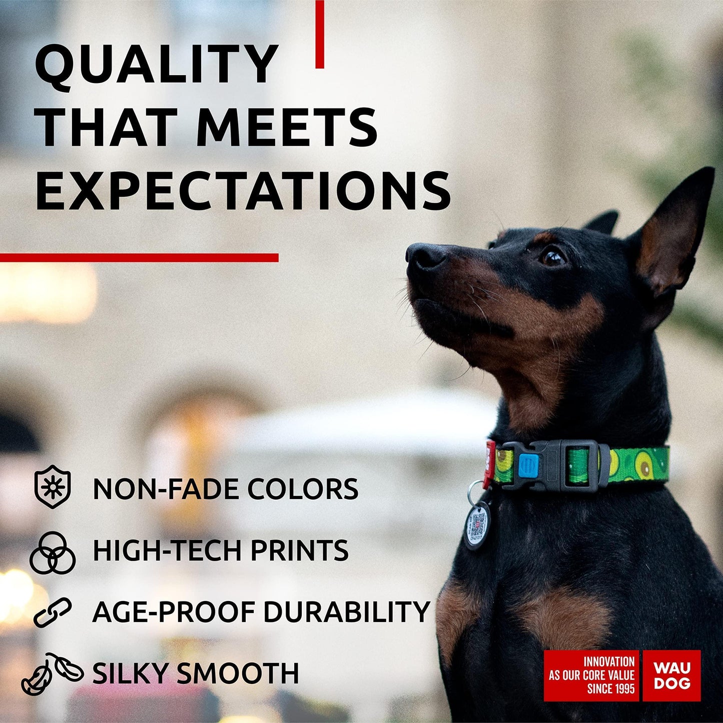 WAUDOG Adjustable Nylon Dog Collar with Durable Plastic Buckle and QR Dog Tag. SMALL (Avocado Print) For Pet With Love