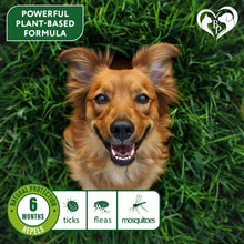 Load image into Gallery viewer, Beloved Pets Natural Anti Fleas and Ticks Essential Oil Repellent Collar for Dogs. 6 Months Control of Best Prevention &amp; Safe Treatment. Pack of 1. For Pet With Love
