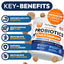 Load image into Gallery viewer, PETSOLOGY Digestive Enzymes &amp; Prebiotics Supplement for Dogs 170 Chews For Pet With Love
