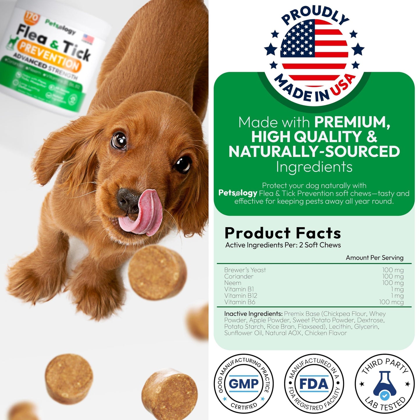 PETSOLOGY Natural  Flea and Tick Prevention Treatment for Dogs Vet Formulated Oral Defense Supplement for All Breeds & Ages 170 Soft Chews Made in USA For Pet With Love