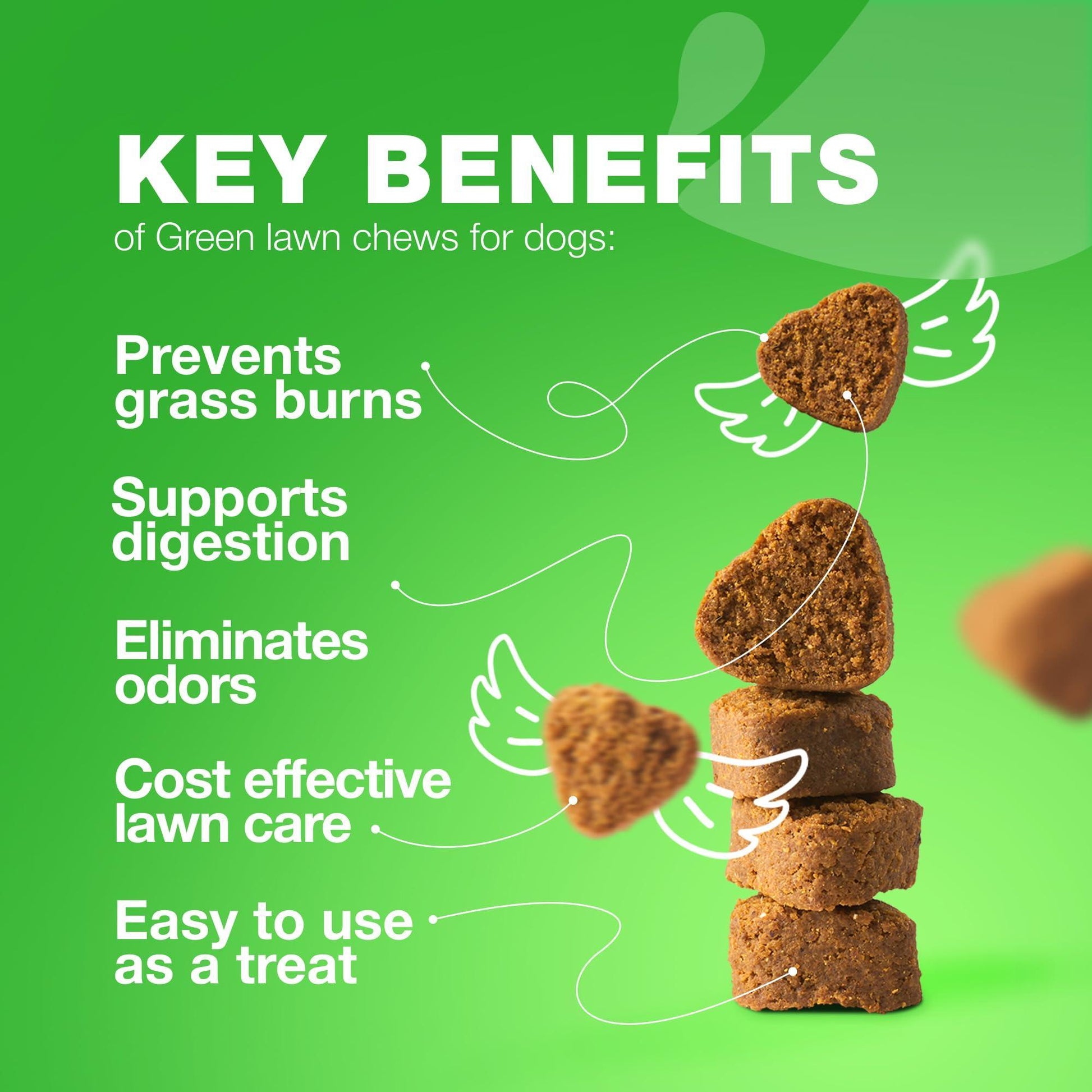 CHEWIA Dog Urine Neutralizer for Lawn w/Probiotics Enzymes & Multivitamins 180Ct For Pet With Love