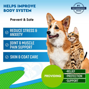 Beloved Pets Hemp Oil Calming Anti Anxiety & Herbal Stress Relief for Cats & Dogs 2oz