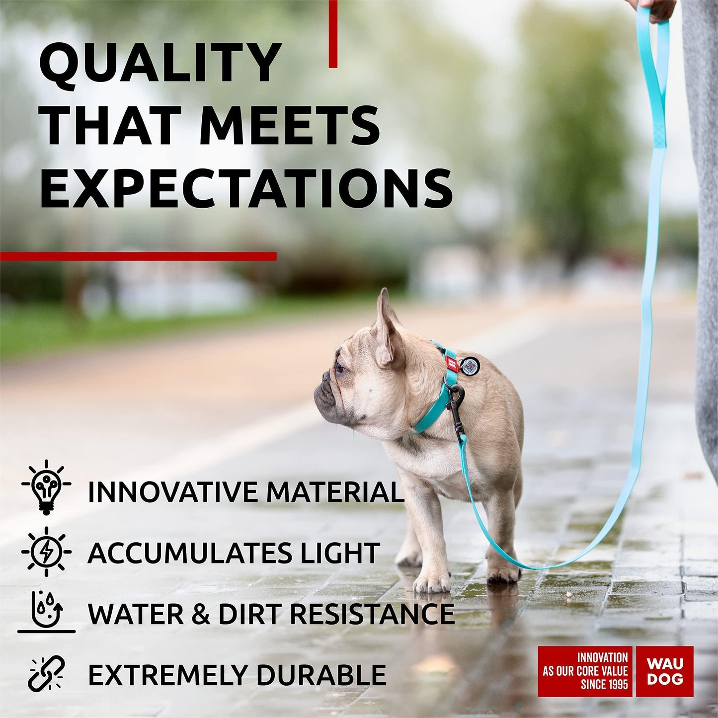 Waterproof Dog Leash 4 Ft   6 Ft   Anti Slip Dog Leash for Large Dogs Small and For Pet With Love