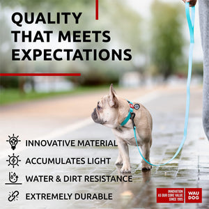 Waterproof Dog Leash 4 Ft   6 Ft   Anti Slip Dog Leash for Large Dogs Small and