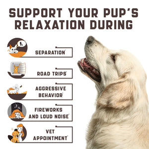 Kinpur Pet Care Calming Chews for Dogs with Hemp Oil (180 count)
