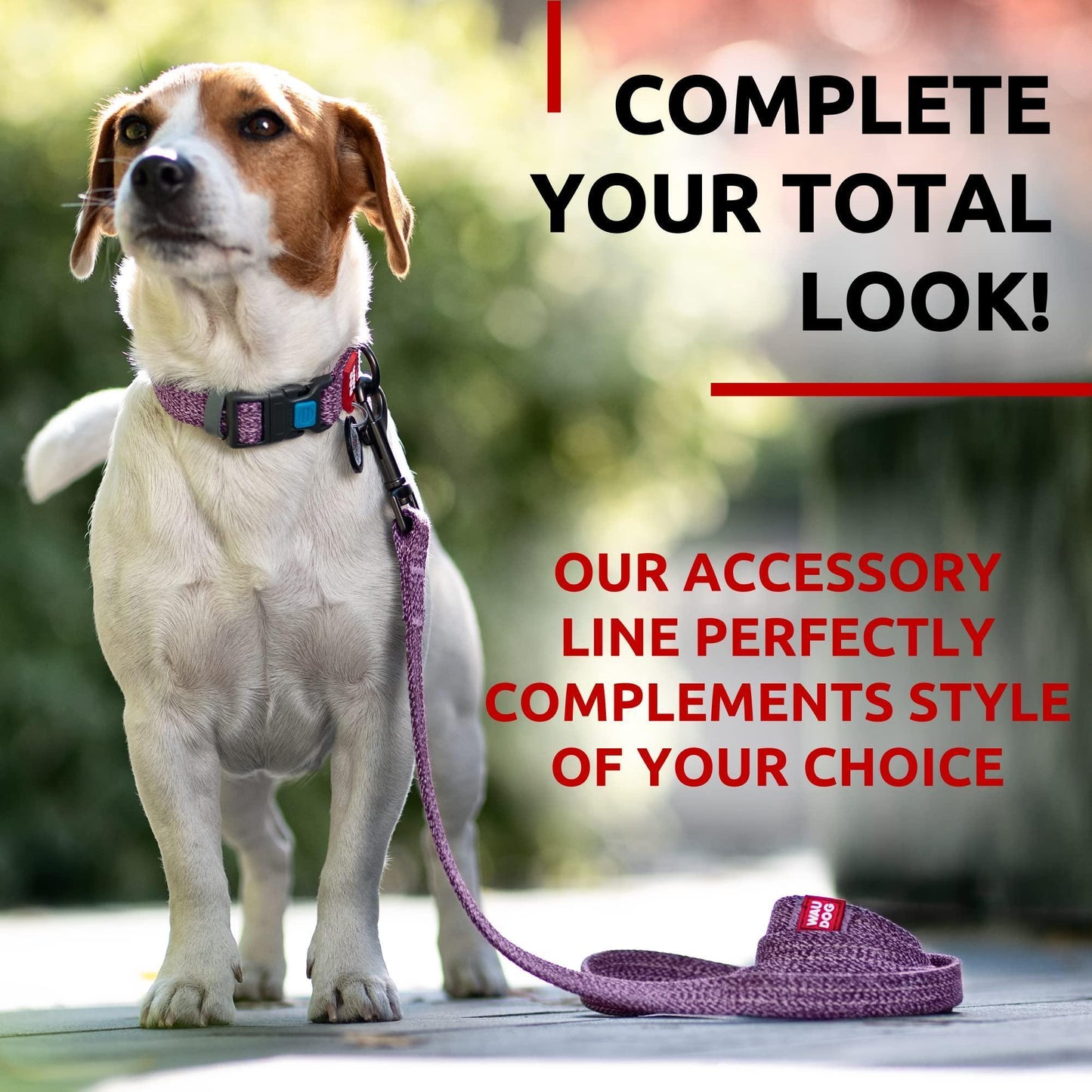 Recycled Cotton Dog Leash 6 Ft   10 Ft Eco Friendly Collar for Small Medium & For Pet With Love