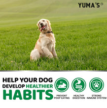 Load image into Gallery viewer, YUMA&#39;S No Poo Coprophagia Deterrent Chews for Dogs. Probiotics &amp; Digestive Enzymes Supplement. Made in USA. 170 Chews.
