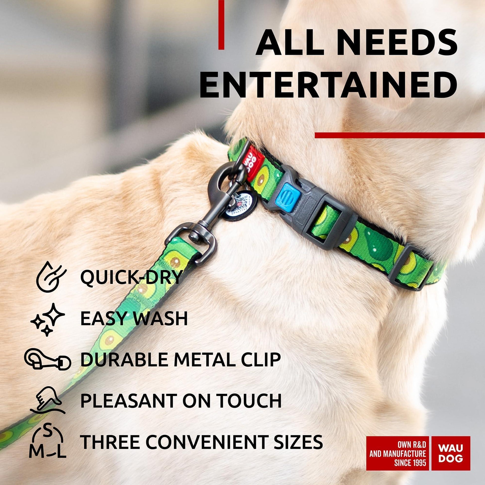 WAUDOG Nylon Dog Leash for Small Dogs and Medium Dogs 4 Ft   Strong Dog Leash For Pet With Love