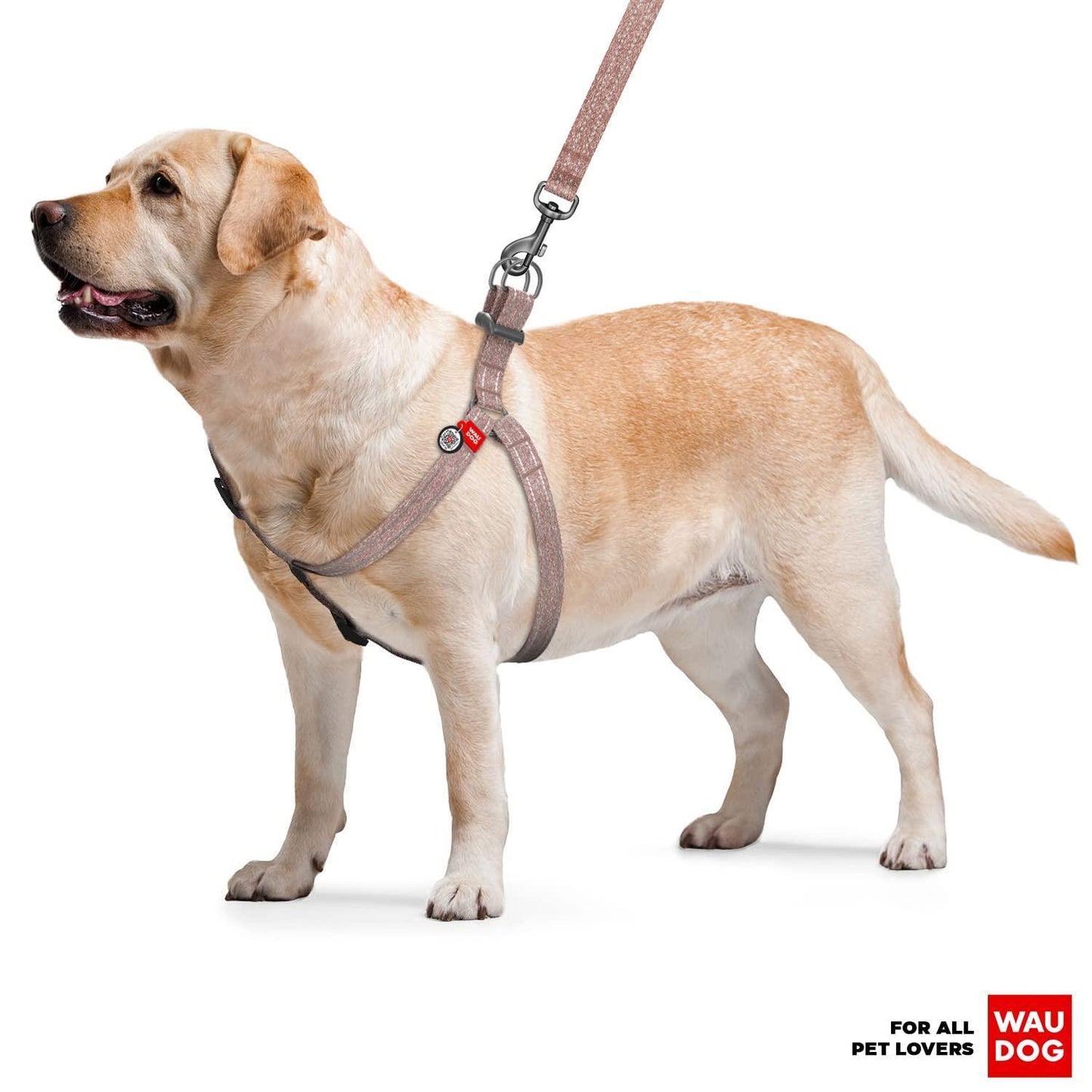 Re Cotton Dog Harness Eco Friendly Dog Harness for Small Dogs Medium & Large For Pet With Love