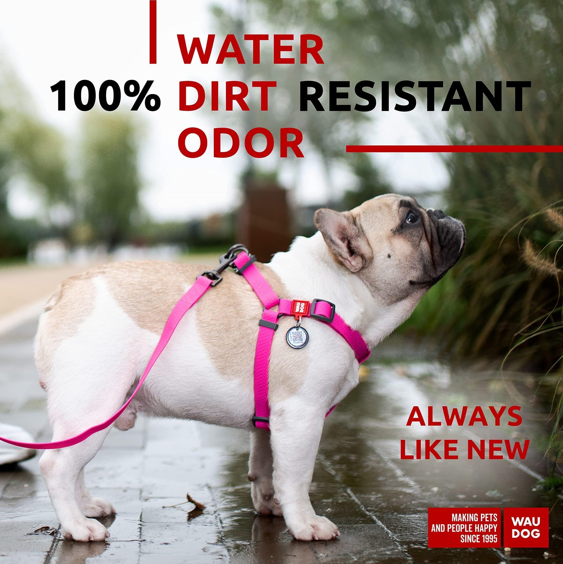 Waterproof Dog Harness   Adjustable Dog Harness for Large Dogs Small and Medium For Pet With Love