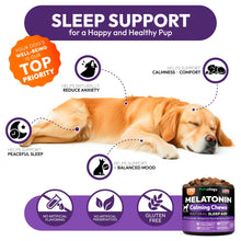 Load image into Gallery viewer, PETSOLOGY Melatonin Calming Chews for Dogs Natural Sleep Aid with Hemp Seed Oil, Chamomile, Valerian Root. Made in USA (170 Chews. Chicaken Flavor) For Pet With Love
