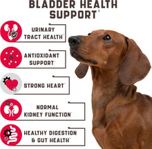 Load image into Gallery viewer, Kinpur Pet Care Dog UTI Treatment w/Cranberry 180 Chews
