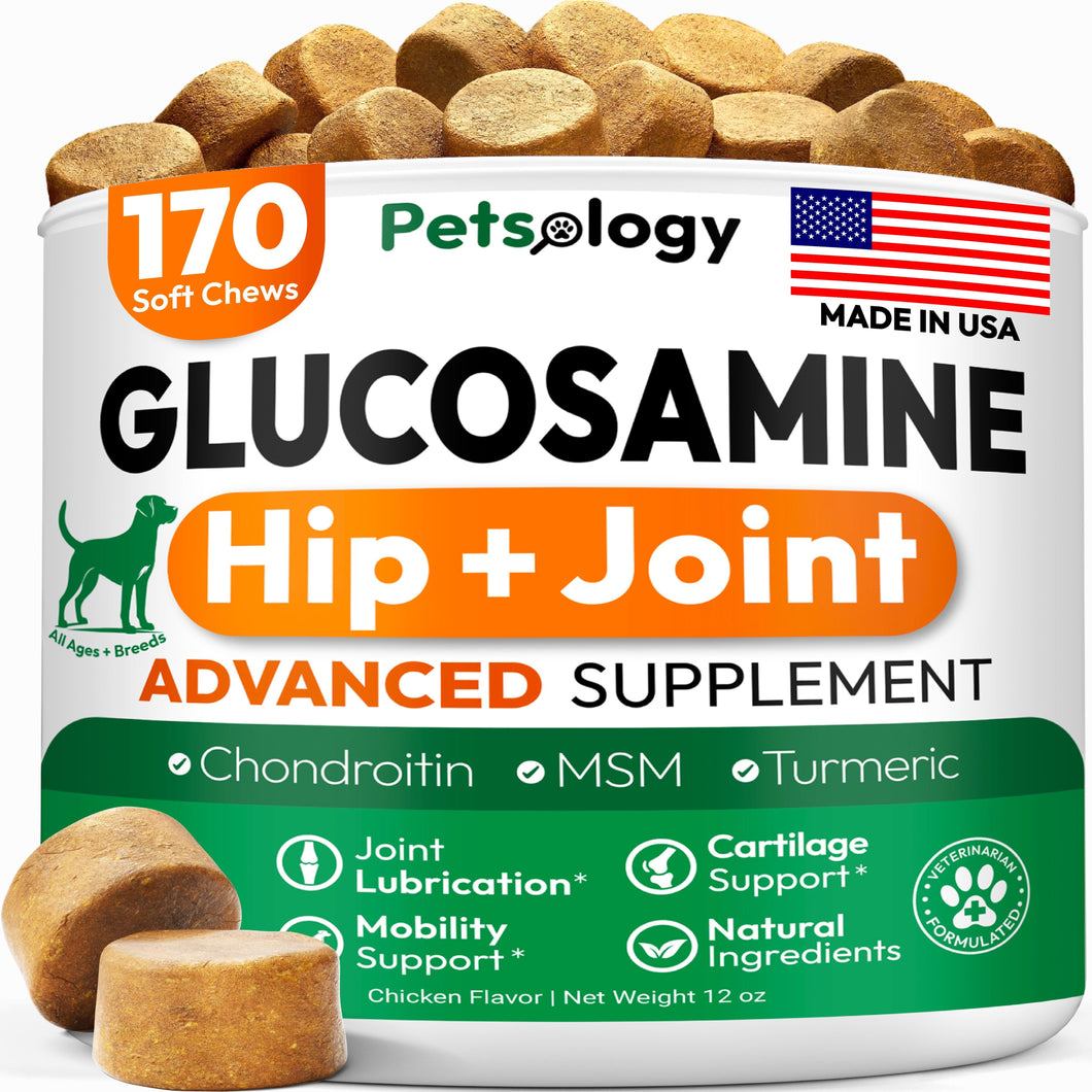 PETSOLOGY Glucosamine Chondroitin Hip and Joint Supplement for Dogs 170 Chews For Pet With Love