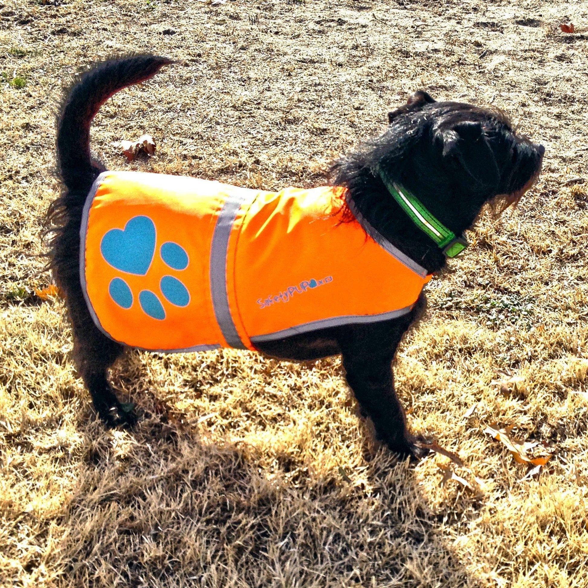 SafetyPUP XD Hi-Visibility Reflective Fluorescent Blaze Orange Dog Vest (Small) For Pet With Love