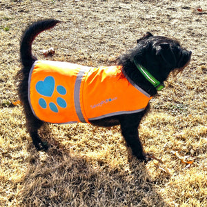 SafetyPUP XD Hi-Visibility Reflective Fluorescent Blaze Orange Dog Vest (Small)