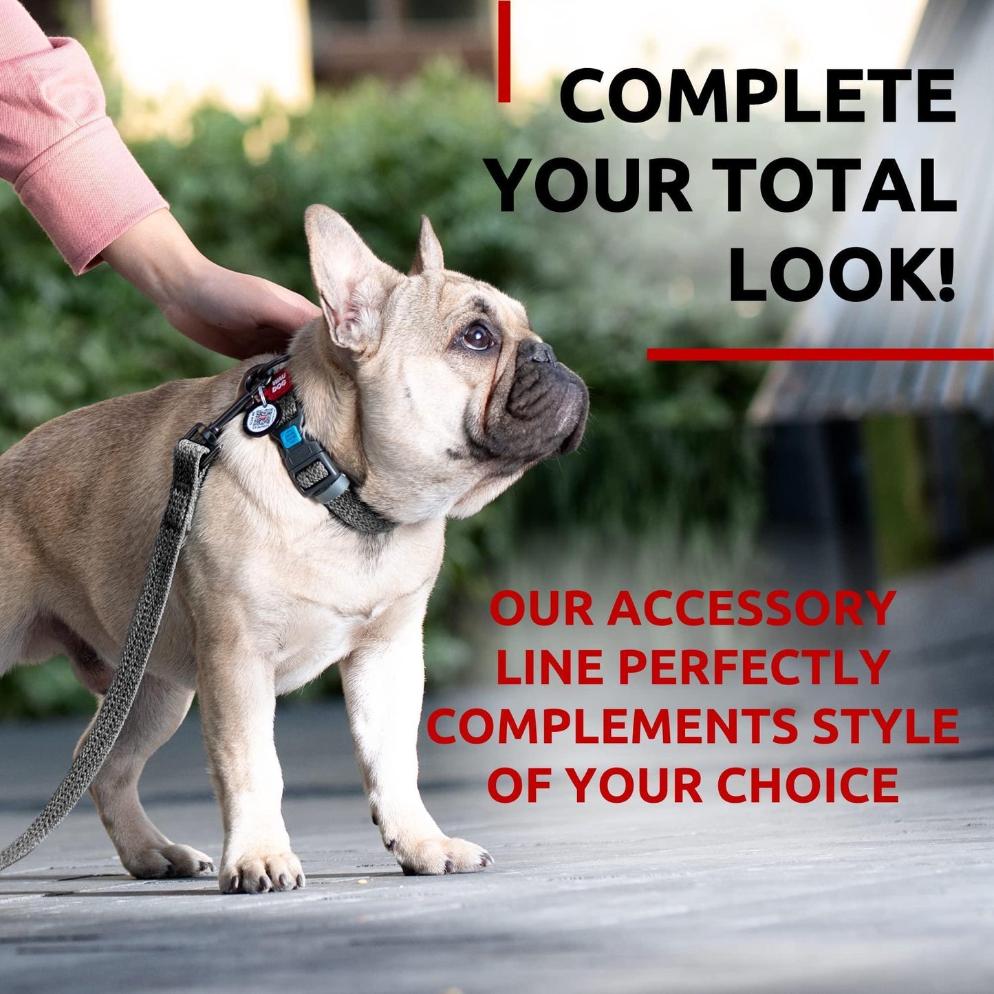 Recycled Cotton Dog Leash 6 Ft   10 Ft Eco Friendly Collar for Small Medium & For Pet With Love