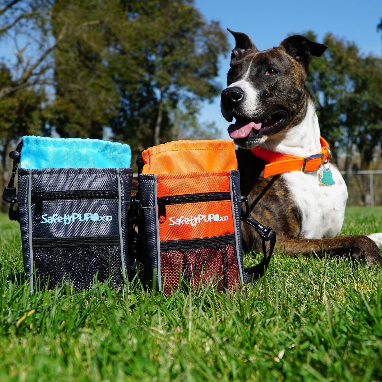 SafetyPUP XD HiVis Dog Treat Bag with Poop Bag Dispenser and Secure Pouch Closure (Orange) For Pet With Love