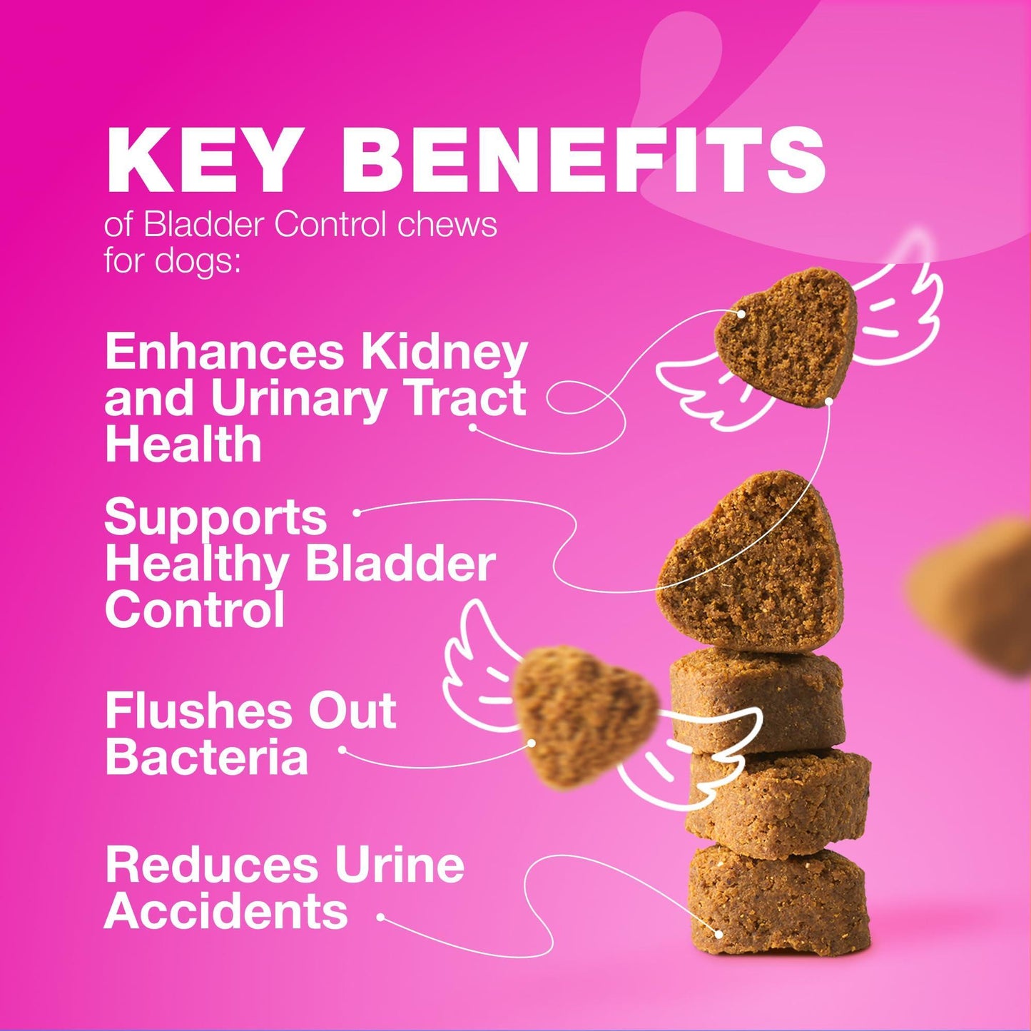 CHEWIA Cranberry Dog UTI Treatment Supplement for Bladder & Kidney Health 180 Ct For Pet With Love
