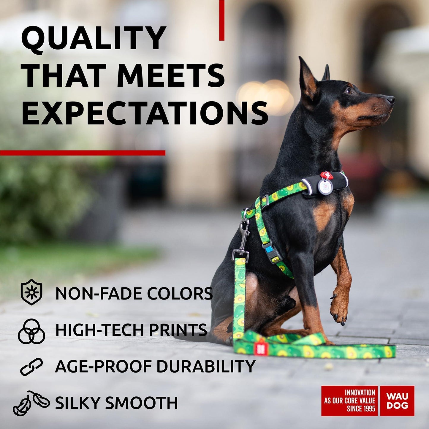 Nylon Dog Leash for Small Dogs and Medium Dogs 4 Ft   Strong Dog Leash for For Pet With Love