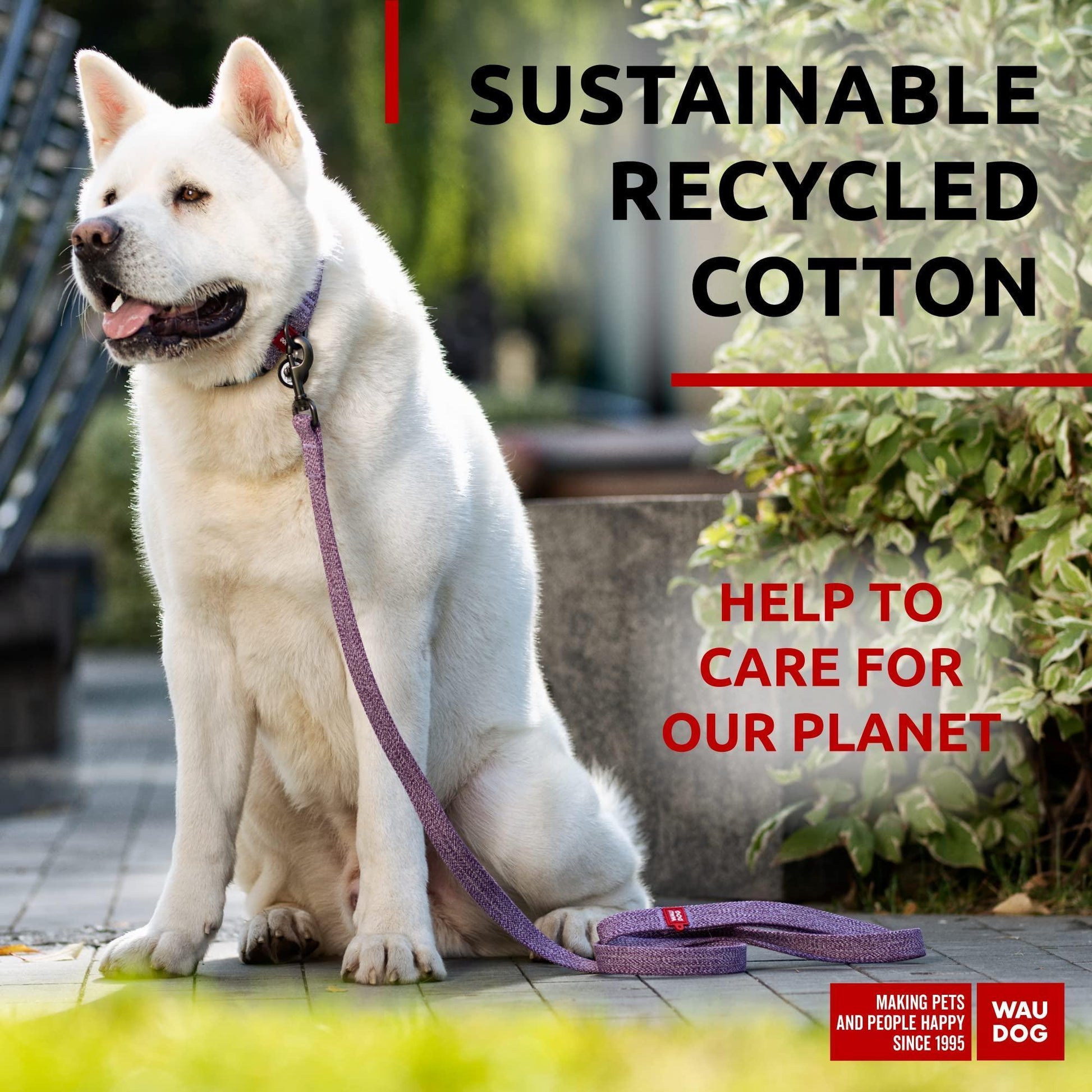 Recycled Cotton Dog Leash 6 Ft   10 Ft Eco Friendly Collar for Small Medium & For Pet With Love