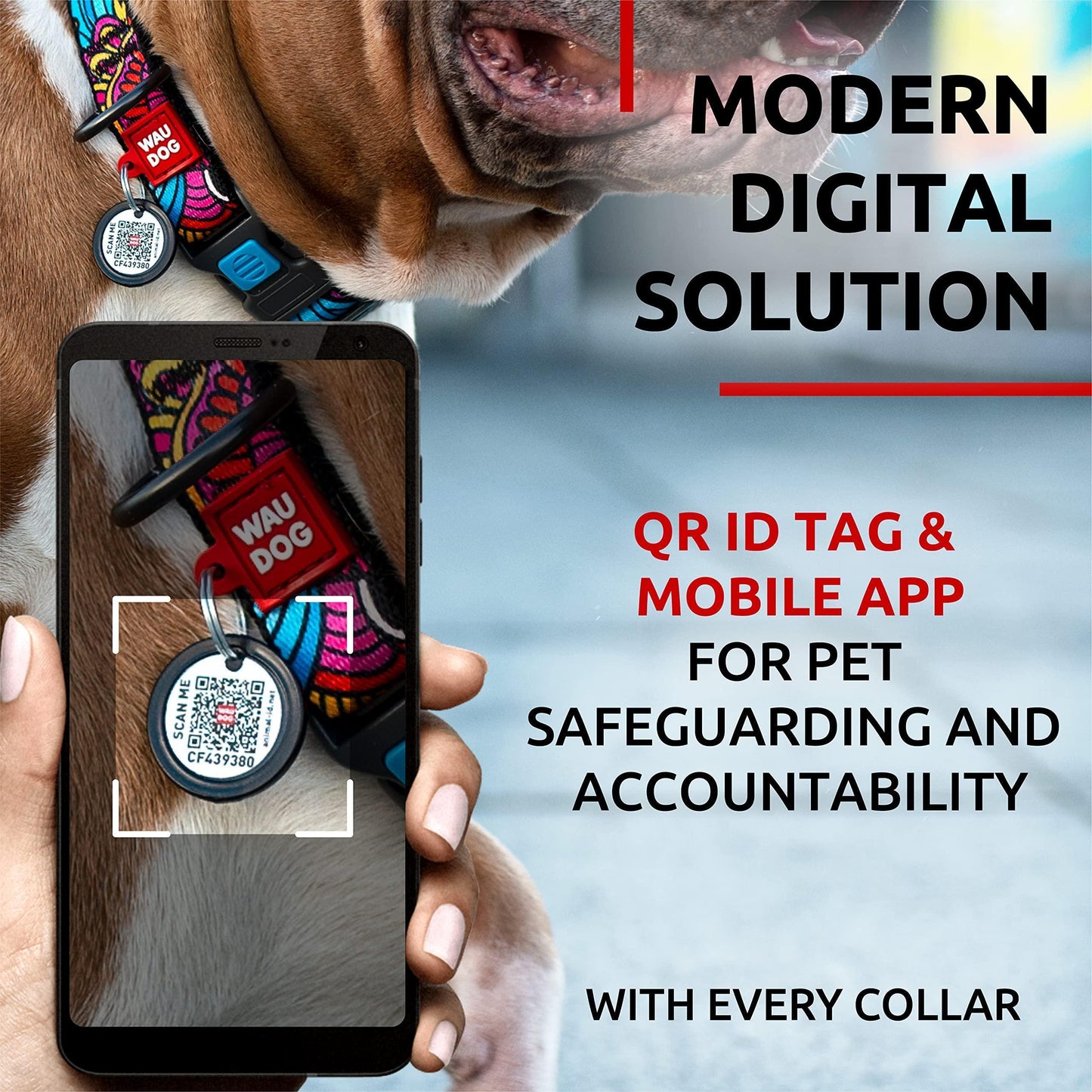 WAUDOG Nylon Adjustable Dog Collar with Durable Plastic Buckle and QR Dog Tag SUMMER LARGE For Pet With Love