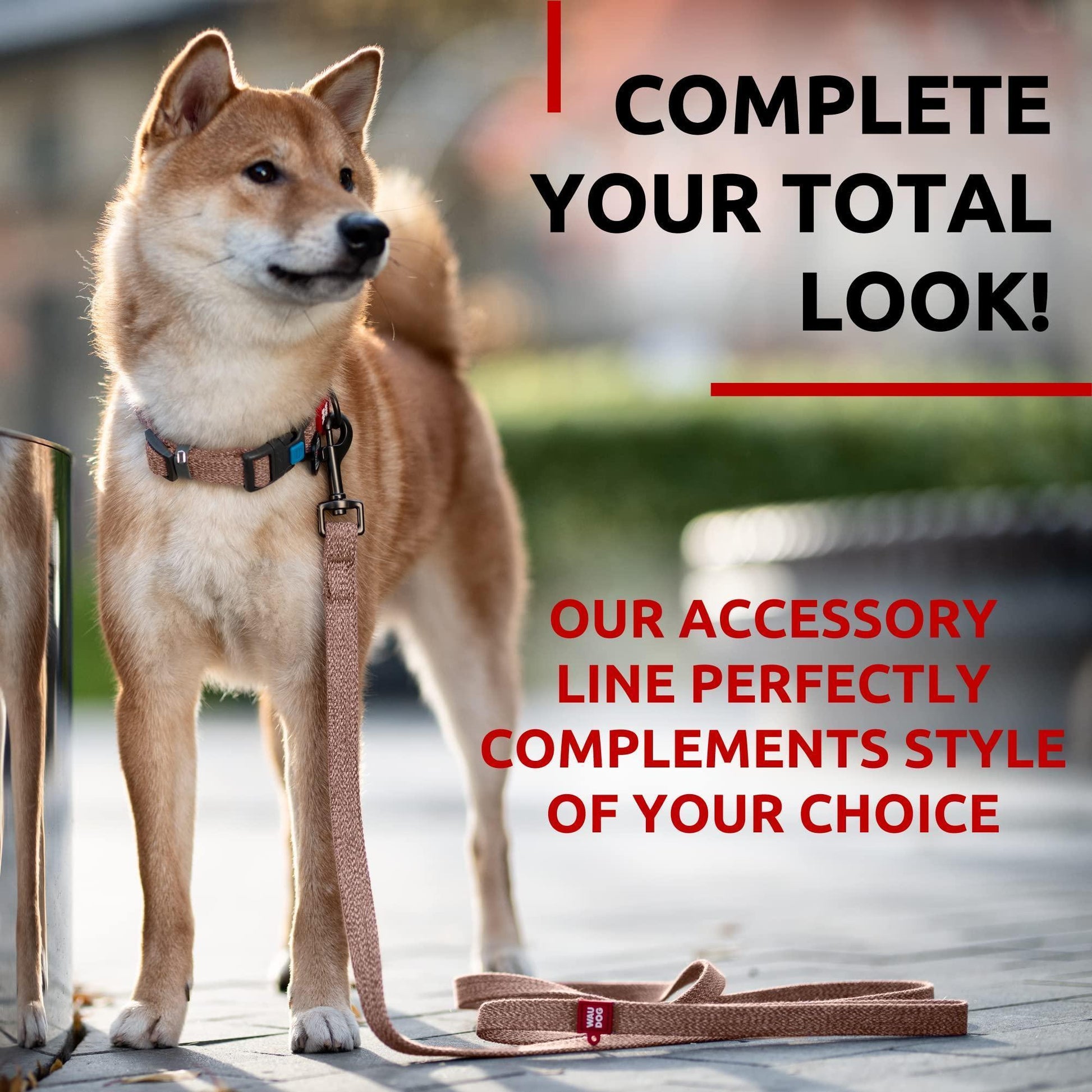 Recycled Cotton Dog Leash 6 Ft   10 Ft Eco Friendly Collar for Small Medium & For Pet With Love