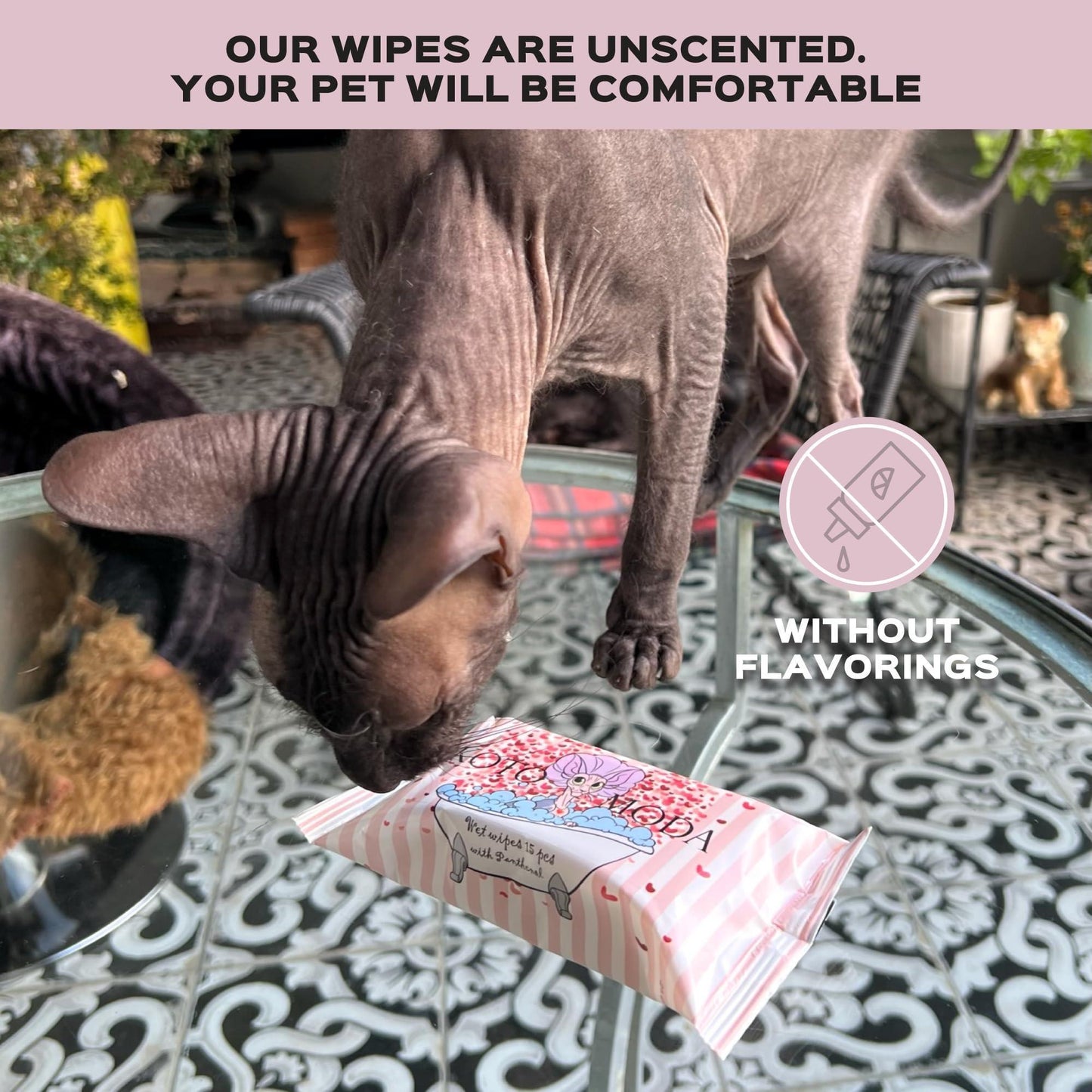 Kotomoda Wet Wipes with Panthenol for Sphynx cat for Everyday use (24Pack) For Pet With Love