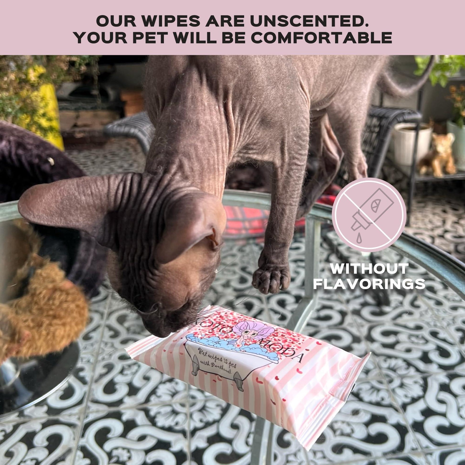 Kotomoda Wet Wipes with Panthenol for Sphynx cat for Everyday use (24Pack) For Pet With Love