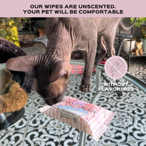 Kotomoda Wet Wipes with Panthenol for Sphynx cat for Everyday use (24Pack)