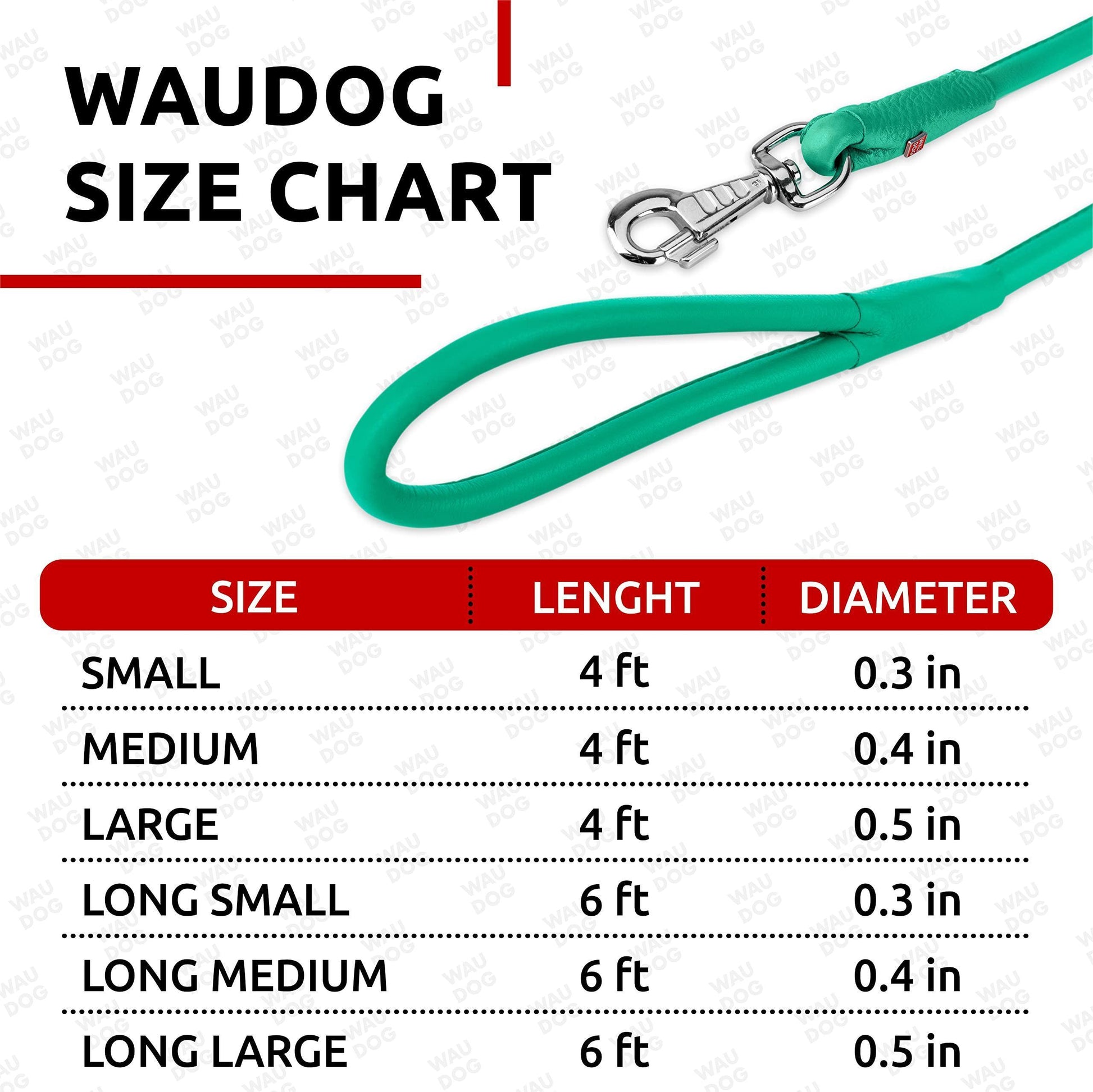 WAUDOG Rolled Leather GLAMOUR Dog Leash 4Ft X 0.5in (Mint) For Pet With Love