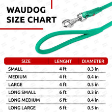 Load image into Gallery viewer, WAUDOG Rolled Leather GLAMOUR Dog Leash 4Ft X 0.5in (Mint)
