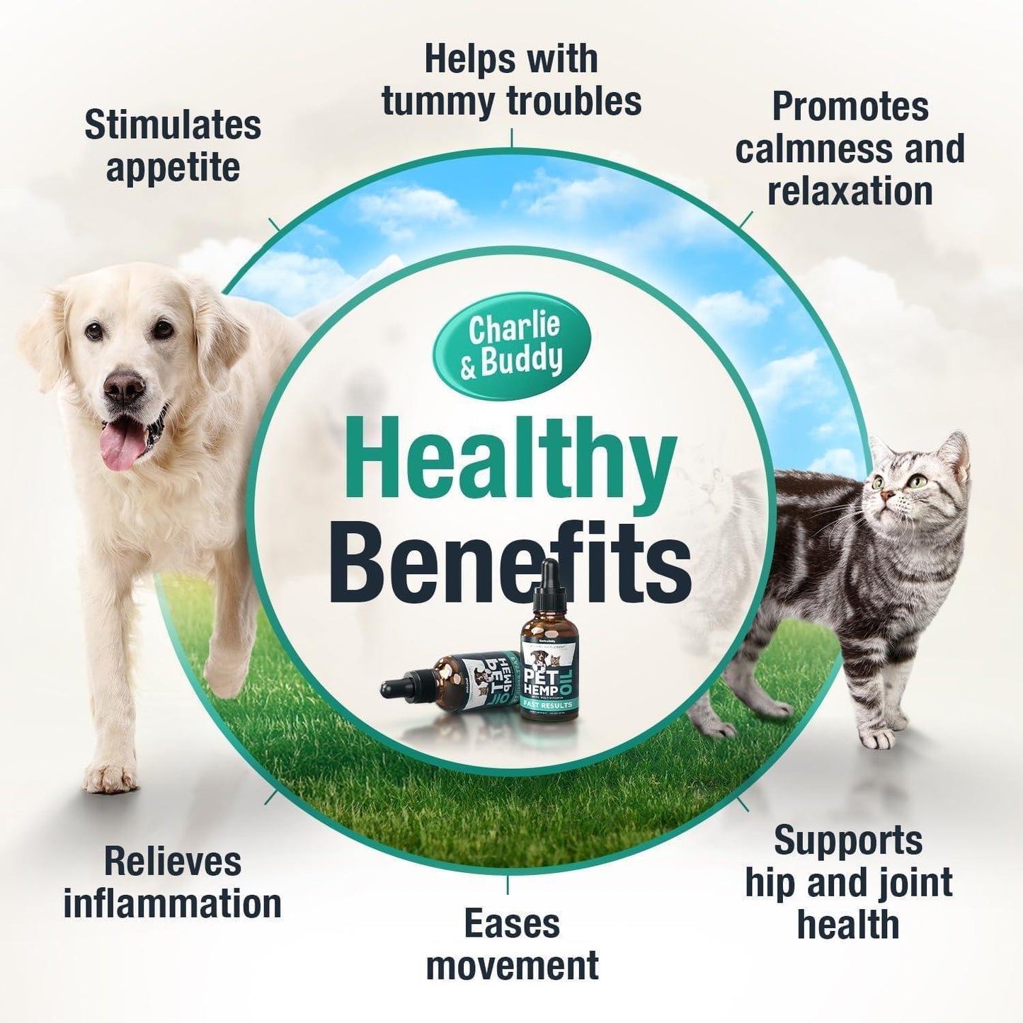 Charlie & Buddy Pet Hemp Oil Supplement for Dogs and Cats. Helps with Anxiety, Pain, Stress, Sleep, Arthritis, Seizures Relief. Joint Health Support - 2Pack For Pet With Love