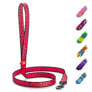 Nylon Dog Leash for Small Dogs and Medium Dogs 4 Ft   Strong Dog Leash for